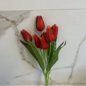 Bukiet czerwonych tulipanów  42 cm – 7 kwiatów