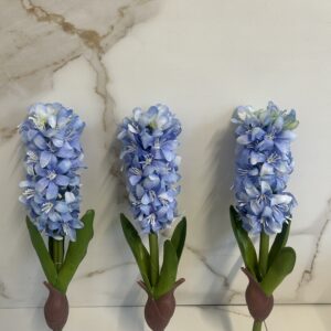 Hiacynt niebieski z cebulką 32 cm