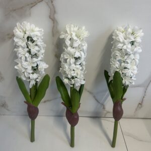 Hiacynt biały z cebulką 32 cm