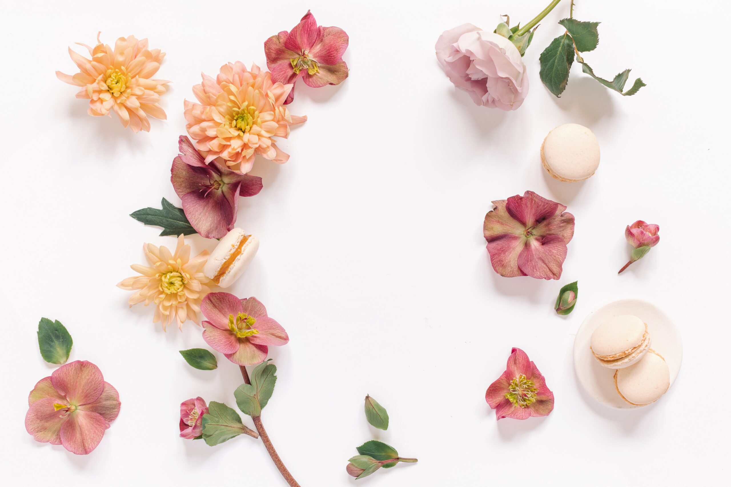 Może Kwiatka – selekcja sztucznych kwiatów i dekoracji z dbałością o estetykę