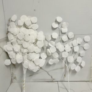 Eukaliptus biały liść  60 cm  (6 szt.)