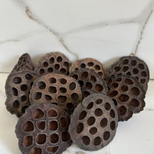 Lotos- Suszony kwiat lotosu (1szt.)