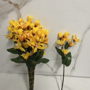 Forsycja żółta 45 cm (1szt.)