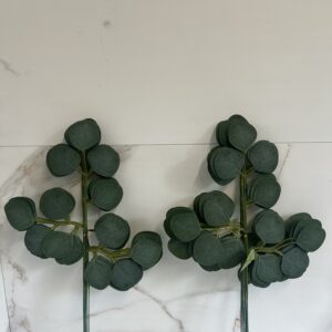 Liść eukaliptusa 50 cm (12szt.)