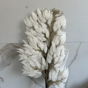 RUSKUS JESIENNY – BIAŁY  62 CM (12szt.)