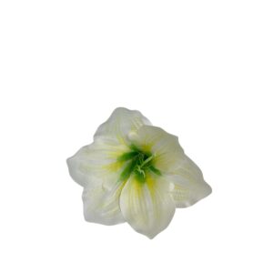 Amarylis – główka kwiatowa Ø 15 cm,  biały  (24 szt.)