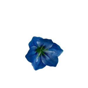 Amarylis – główka kwiatowa Ø 15 cm,  niebieski (24 szt.)