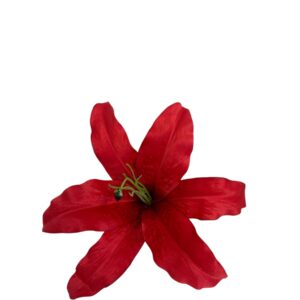 Lilia wyrobowa głęboka rubinowa czerwień  23 cm (12 szt.)