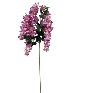 Wisteria zwisająca różowo-fioletowa 115 cm (1 szt.)