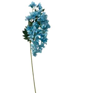 Wisteria zwisająca błękitna 115 cm (1 szt.)