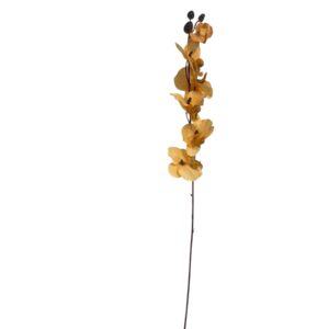 Storczyk satynowy żółty 77 cm – 5 kwiatów (1 szt.)