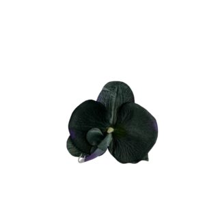 Storczyk wyrobowy czarny (12 szt.)