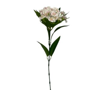 Godecja 3D Print – 60 cm (1szt.)