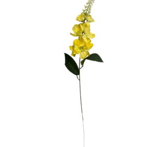 Ostróżka – żółta 60 cm (1 szt.)