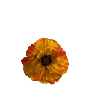 Anemon / zawilec pomarańczowy  11 cm – 12 szt.