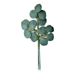 Liść eukaliptusa 50 cm (12szt.)