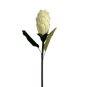 Protea 74 CM śmietankowy biały – 1 szt.