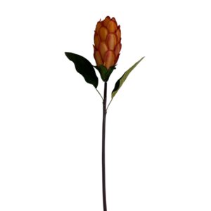Protea 74 CM pomarańcz – 1 szt.