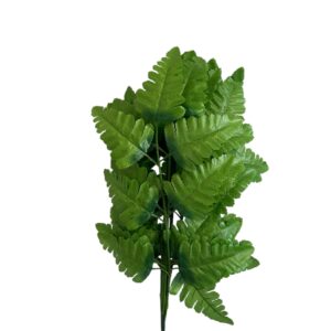 Paprotka liść 45 cm – 12 szt.