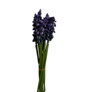 Szafirek 23 cm fioletowy  – pęczek dekoracyjny (12 szt.)