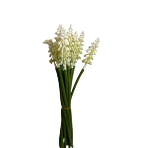 Szafirek 23 cm biały – pęczek dekoracyjny (12 szt.)