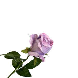 Róża pojedyncza MG jasny fiolet Q –  5 cm długość 50 cm - 1szt.