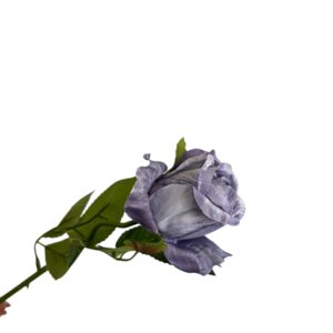 Róża pojedyncza MG przydymiony fiolet Q –  5 cm długość 50 cm - 1szt.