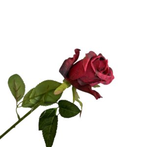 Róża pojedyncza MG czerwona Q –  5 cm długość 50 cm - 1szt.