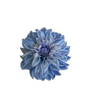 Dalia wyrobowa VIP  niebieski – 15 cm   6 sztuk