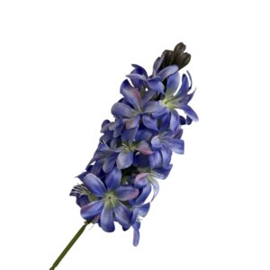 Hiacynt 52 cm niebieski – 1 szt.