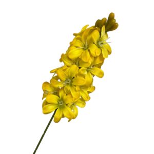 Hiacynt 52 cm żółty  – 1 szt.