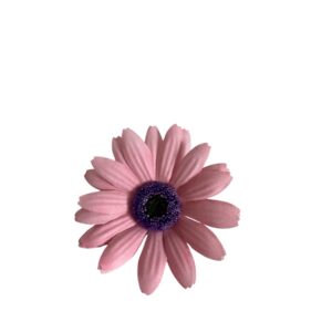 Stokrotka afrykańska wyrobowa 9 cm jasny róż – 12 szt.