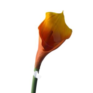 Kalia Calla silikonowa 70 cm pomarańczowa  - 1 szt.
