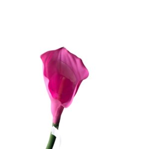 Kalia Calla silikonowa 70 cm różowa  - 1 szt.