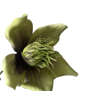 MAGNOLIA piankowa z fioletowym środkiem wys. 50 cm (kwiat 24 cm)