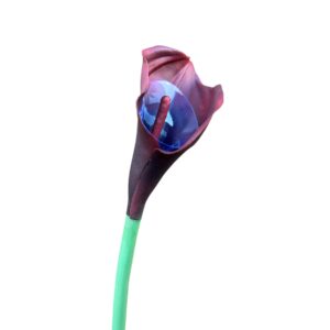 Kalia Calla silikonowa 70 cm burgundowa - 1 szt.