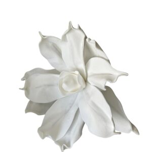 MAGNOLIA piankowa - biała  MAXI KING wys. 30 (kwiat 39 cm)