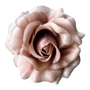 Róża wyrobowa NS – Beżowa Elegancja – 10 cm - 1 szt.