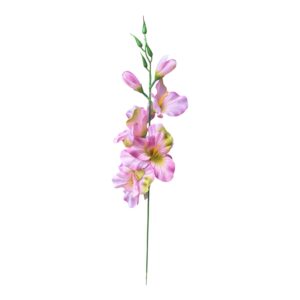 Mieczyk pojedynczy 54 cm  jasny róż -  6szt.