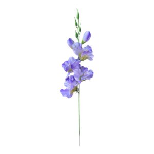 Mieczyk pojedynczy 54 cm  fioletowy -  6szt.