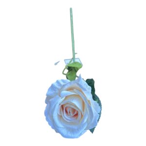 Róża Welurowa Luxor  50 cm  Q- 9 cm ecru