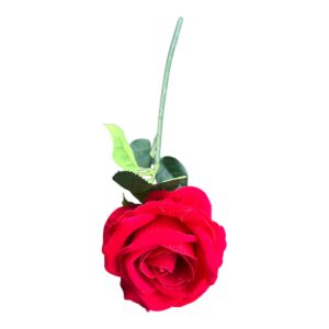 Róża Welurowa Luxor  50 cm  Q- 9 cm czerwona
