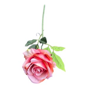 Róża Welurowa Luxor  50 cm  Q- 9 cm różowa