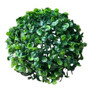 Bukszpan Półkula 18 cm – 1 szt.