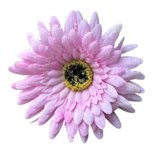 Gerbera wyrobowa Premium 12 cm - jasny róż -  12 szt.