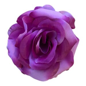Róża wyrobowa  Victoria – ciemny  fioletowy  10 cm - 12 szt.