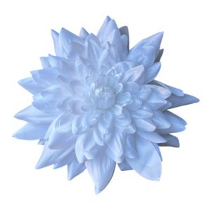 Dalia wyrobowa olbrzymia  biała 28 cm – 1 szt.
