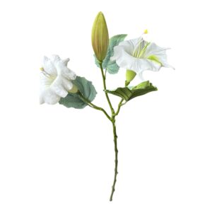 DATURA  gumowa biała wys. 69 cm (2 główki ok. 12 cm +1pąk )