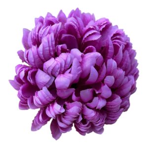 Chryzantema Ananas Premium Różowa – 14 cm - 6 szt.