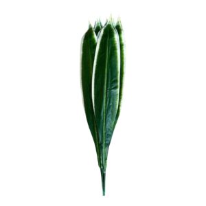 Liść Dracena C18 – 64 cm | 12 szt.